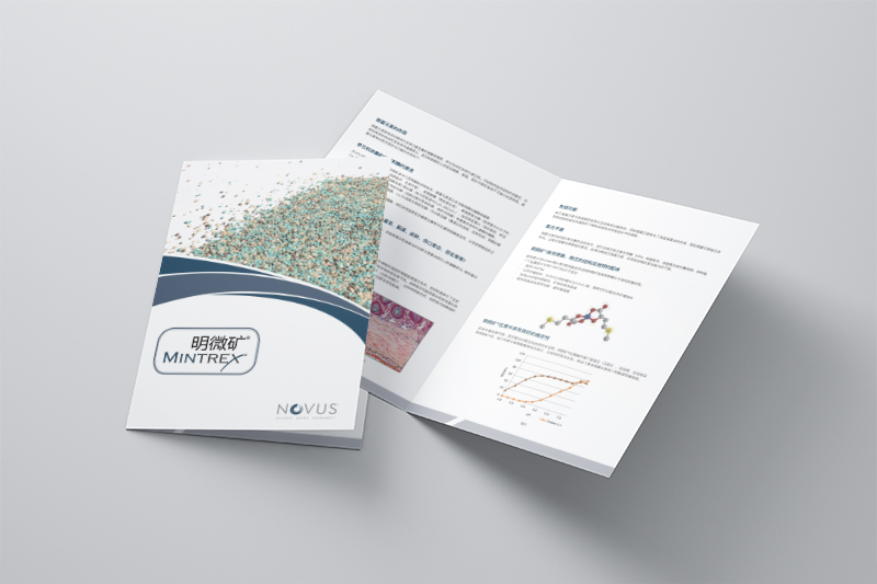 生物科技飼料產(chǎn)品宣傳二折頁設計